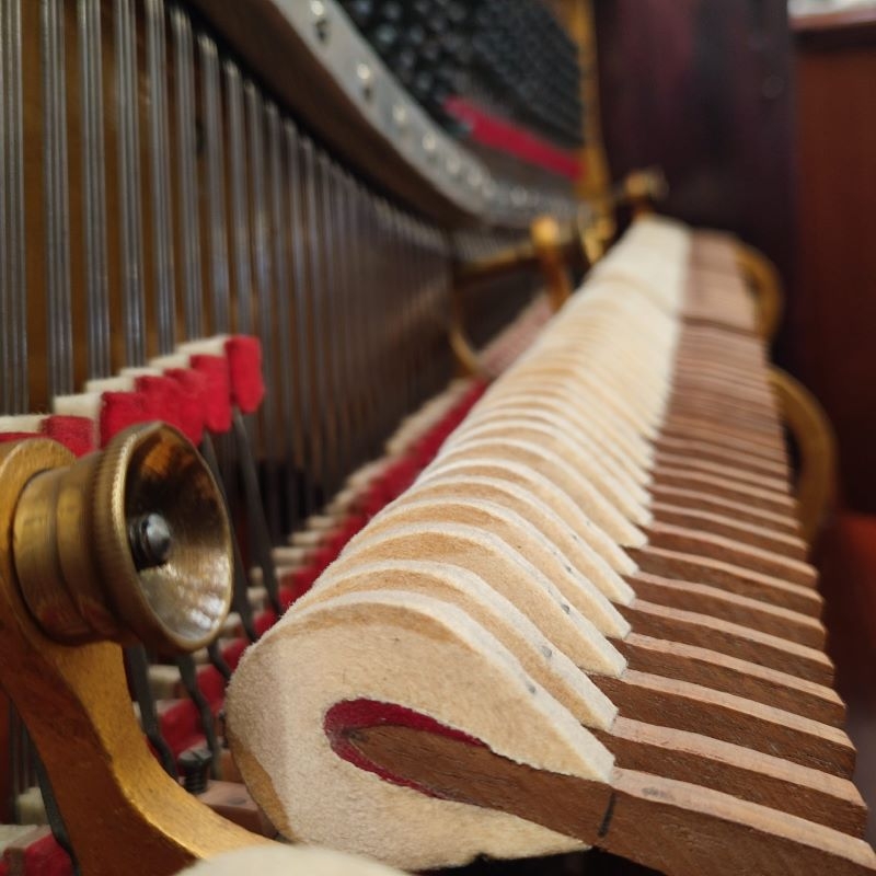 Steinway K