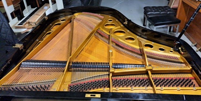 Bosendorfer 170