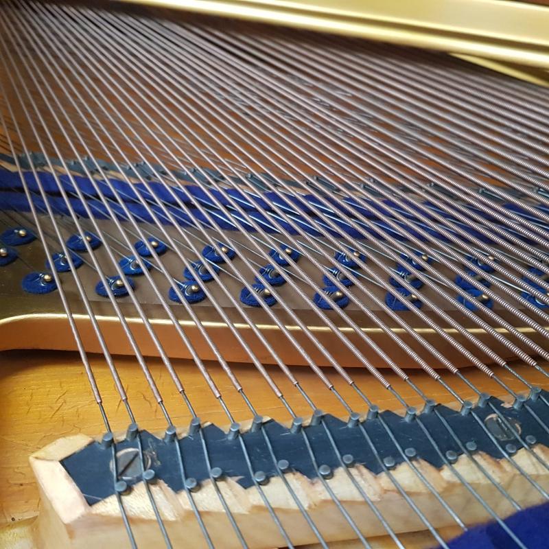 Bluthner style IVa grand Piano in ebonised – Gallery image – Roberts Pianos Oxford