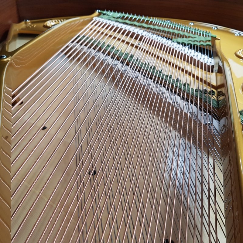 Bechstein B