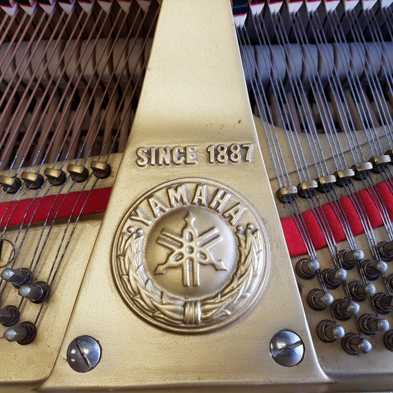 Yamaha C3