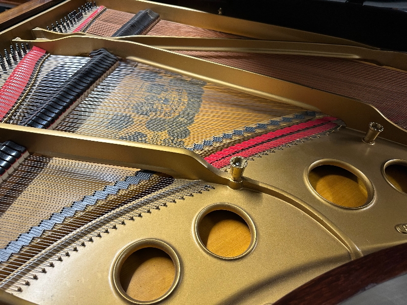Steinway model O
