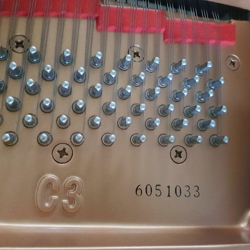 Yamaha C3