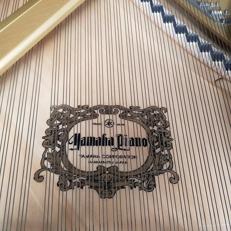 Yamaha CF concert grand Piano in bright black – Gallery image – Roberts Pianos Oxford