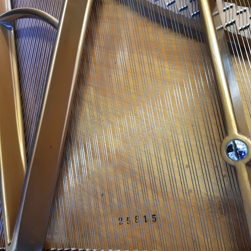 Bosendorfer 170