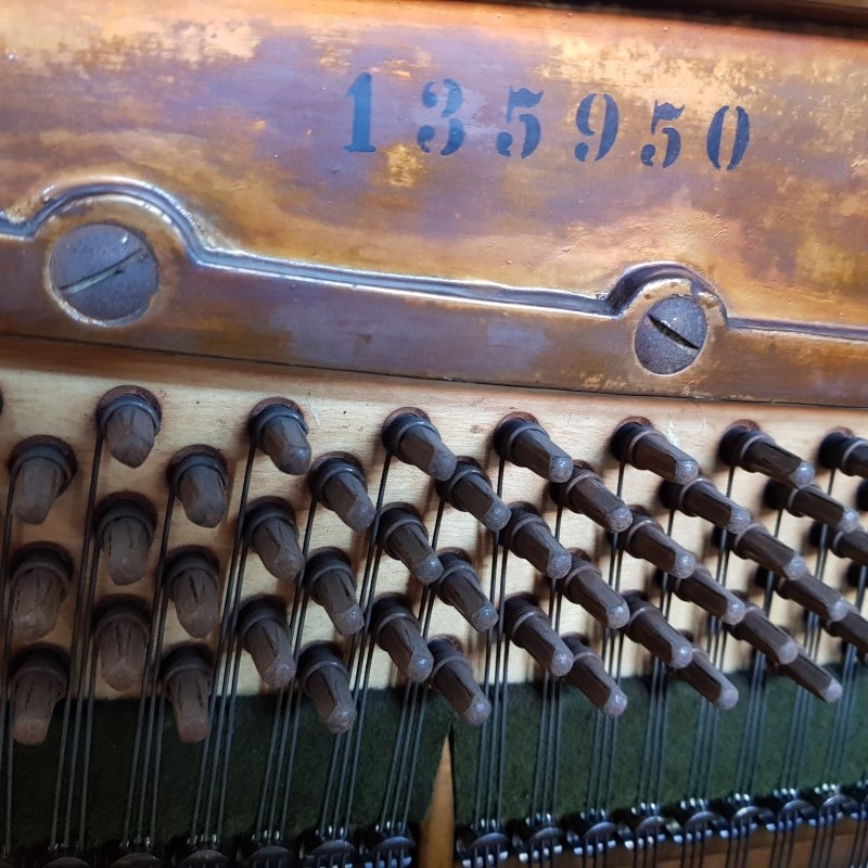 Bechstein 8