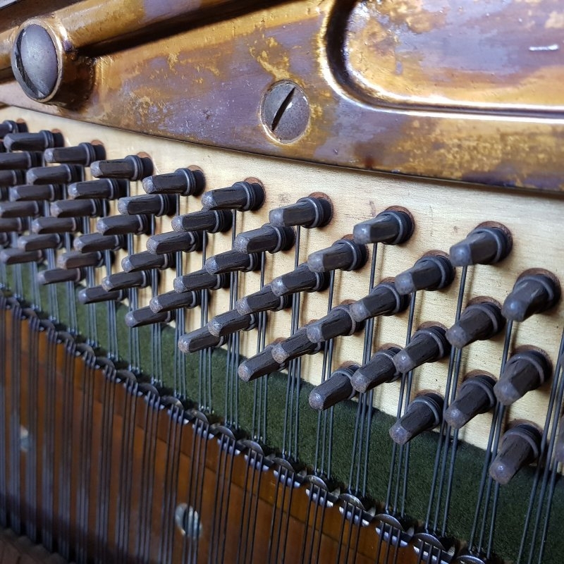 Bechstein 8