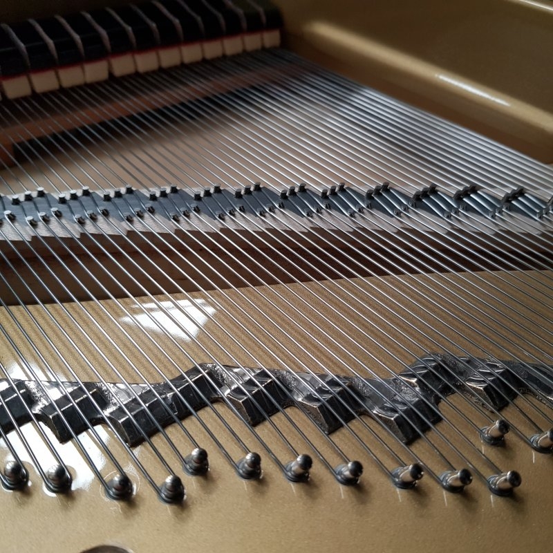 Yamaha CF concert