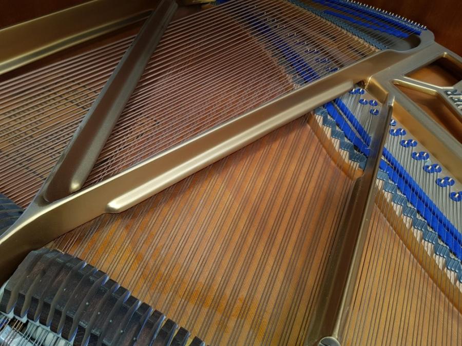 Bluthner Style IV grand Piano in Walnut/mahogany – Gallery image – Roberts Pianos Oxford
