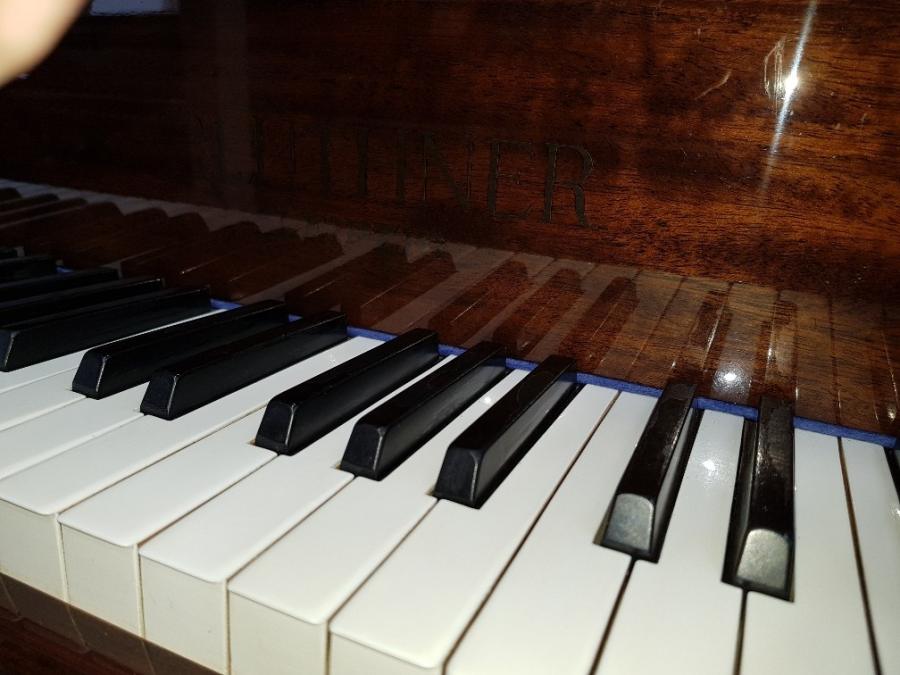 Bluthner Style IV grand Piano in Walnut/mahogany – Gallery image – Roberts Pianos Oxford