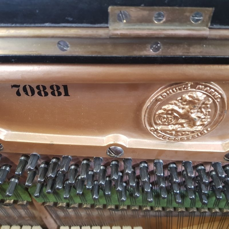 Bechstein 10