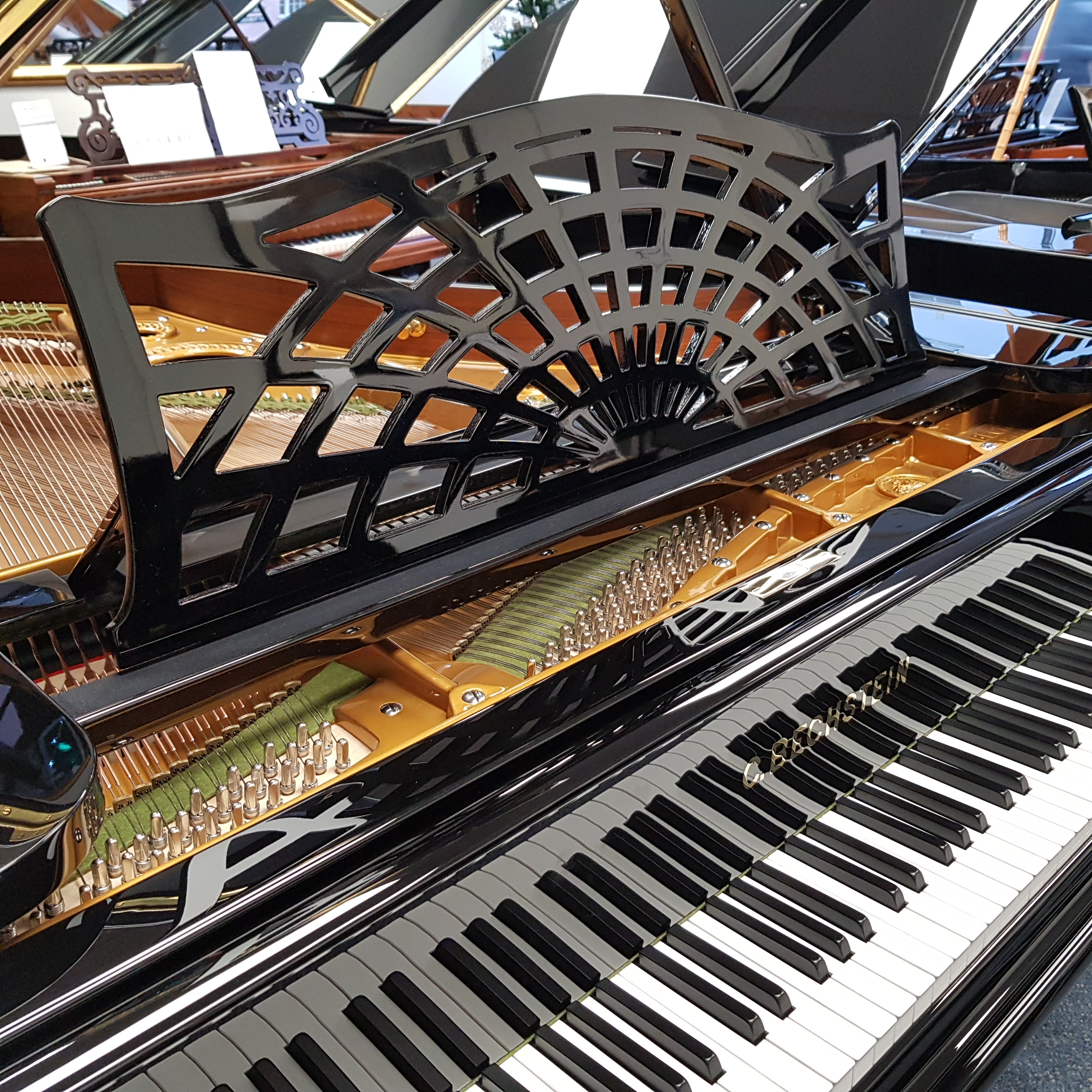 Bechstein V