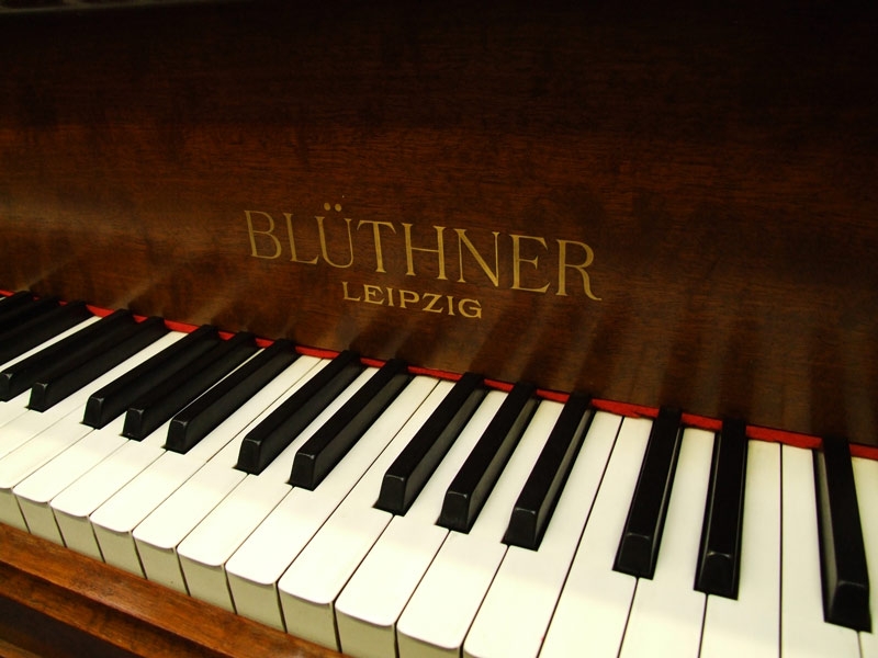 Bluthner IV