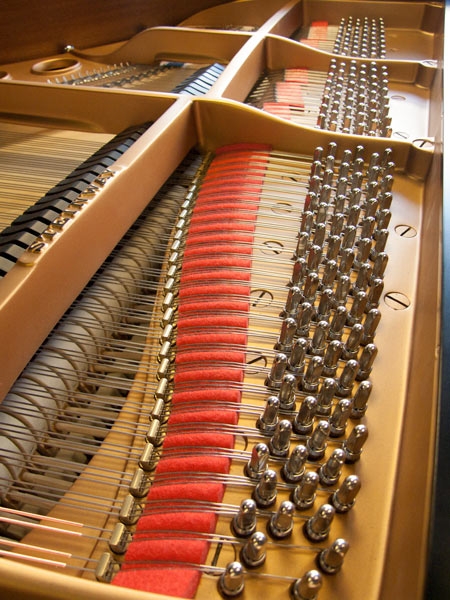 Steinway M