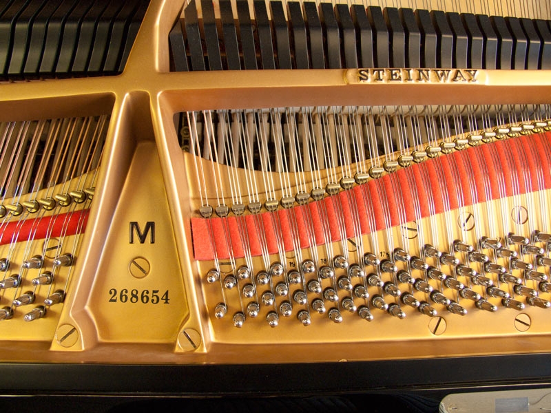 Steinway M