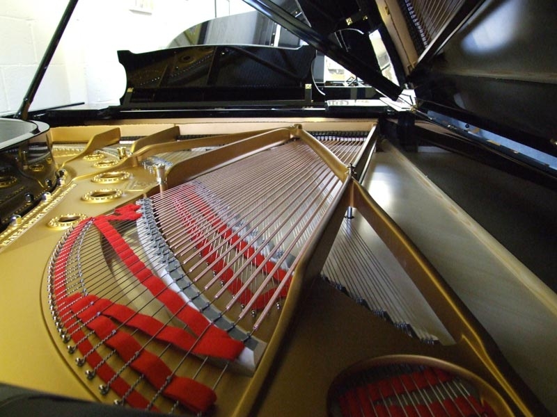 Steinway B