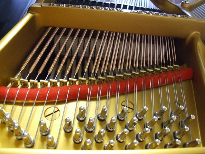 Steinway B