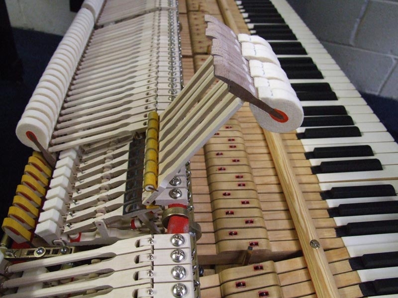 Steinway B