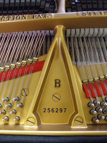 Steinway B