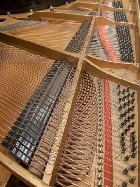 Steinway OP