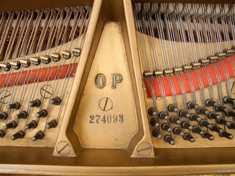 Steinway OP