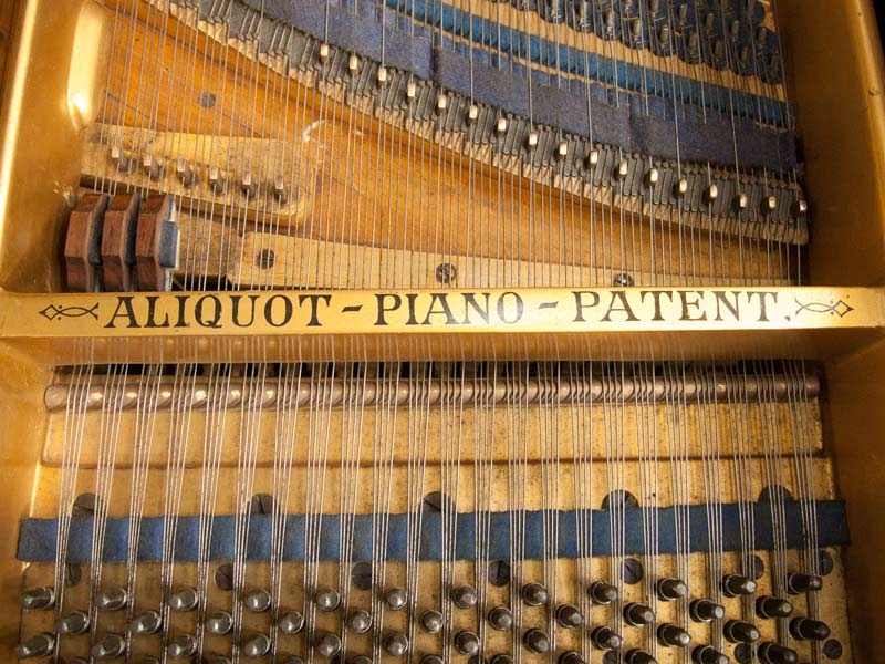 Bluthner Style VI Aliquot