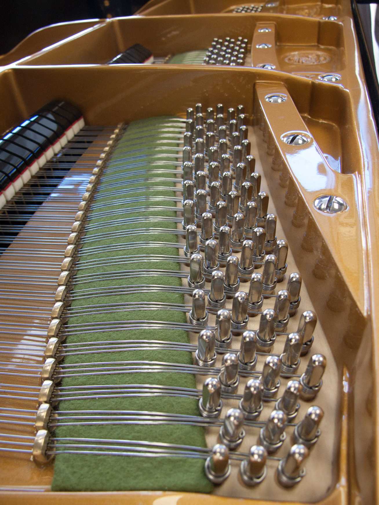 Bechstein B