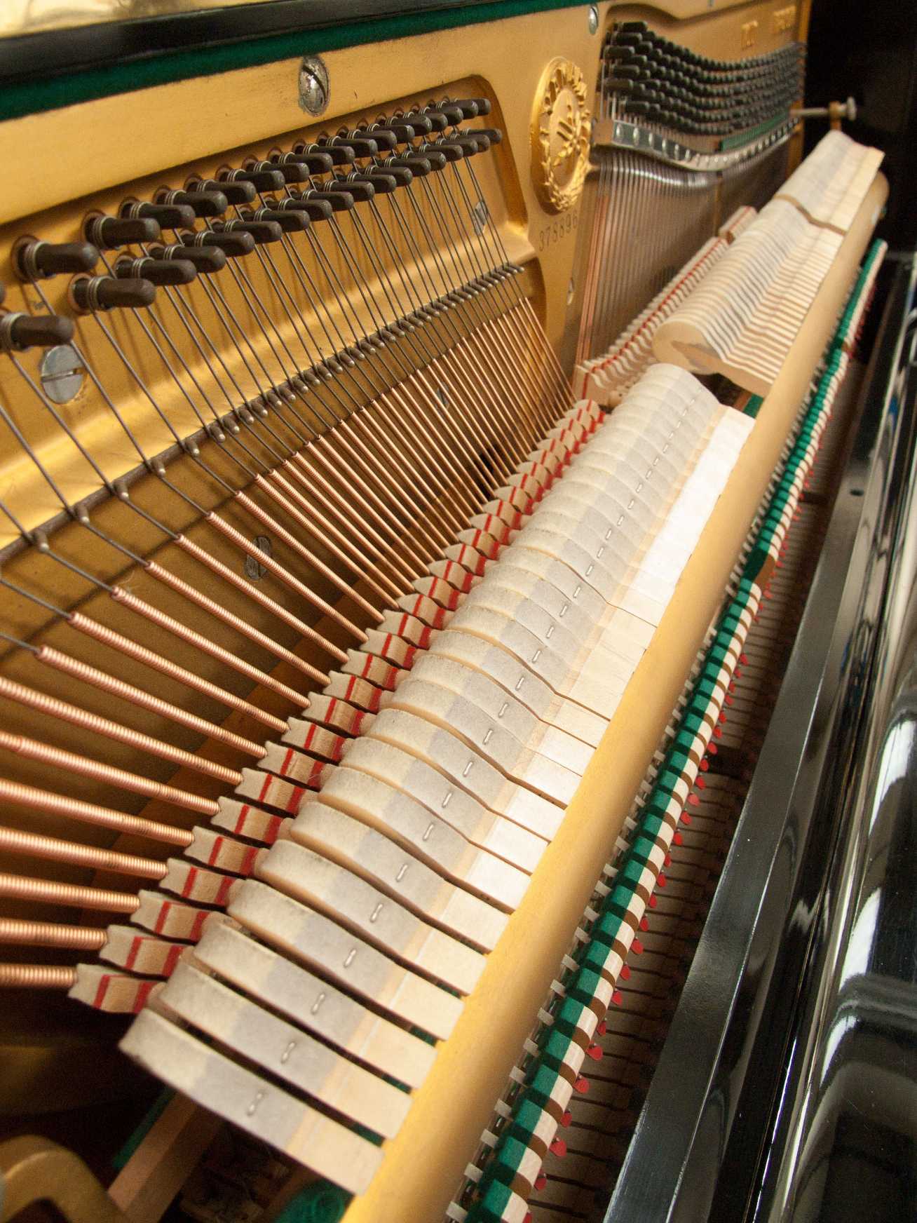 Yamaha U1D
