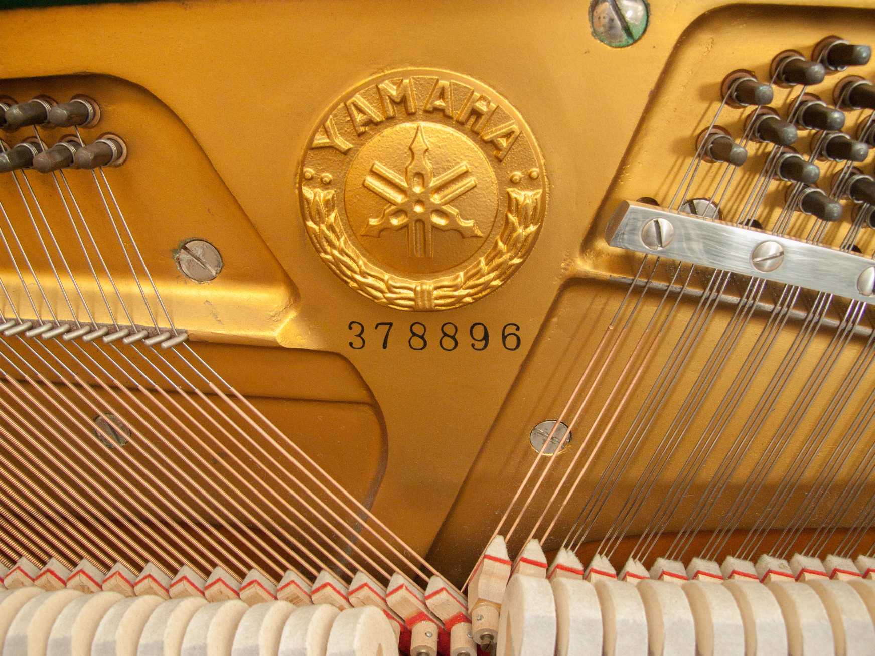 Yamaha U1D
