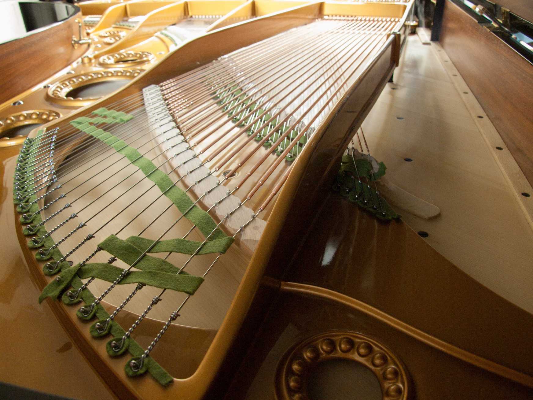 Bechstein C