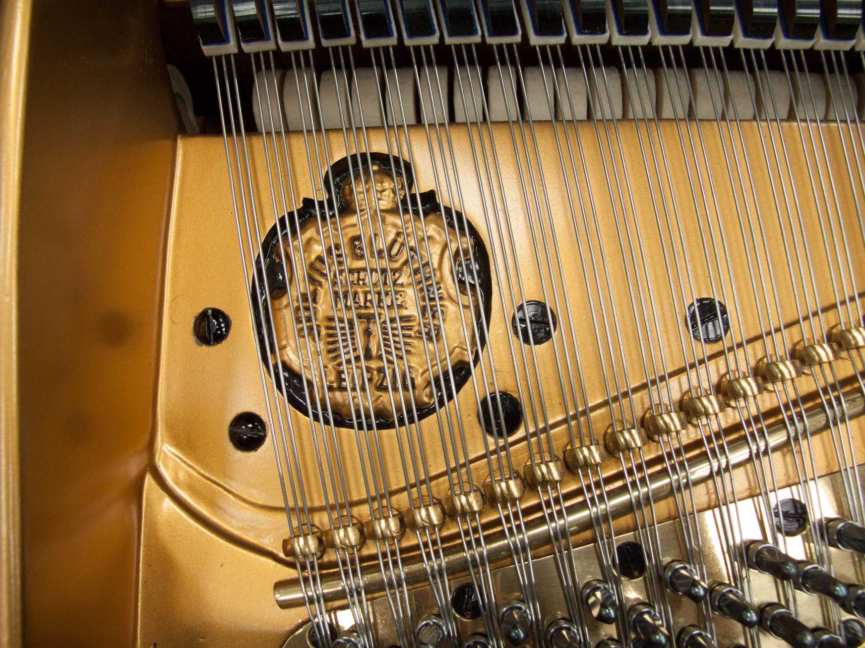 Bluthner VIII (8) grand Piano in rosewood – Gallery image – Roberts Pianos Oxford