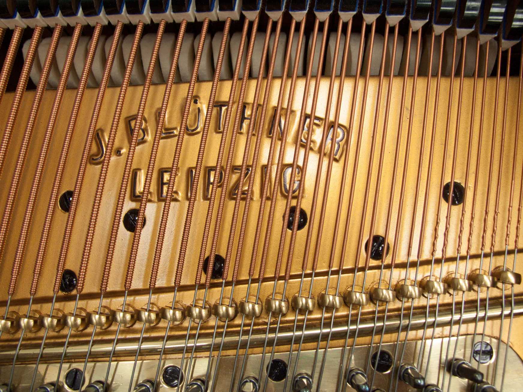 Bluthner VIII (8) grand Piano in rosewood – Gallery image – Roberts Pianos Oxford
