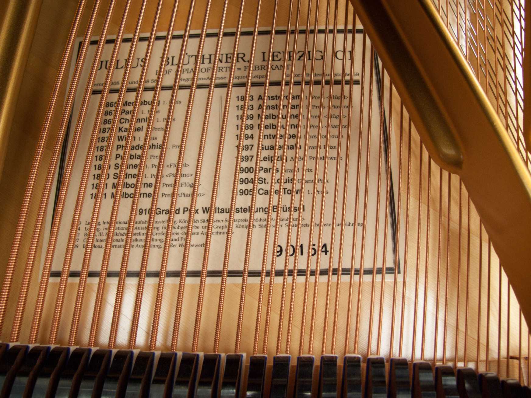 Bluthner VIII (8) grand Piano in rosewood – Gallery image – Roberts Pianos Oxford