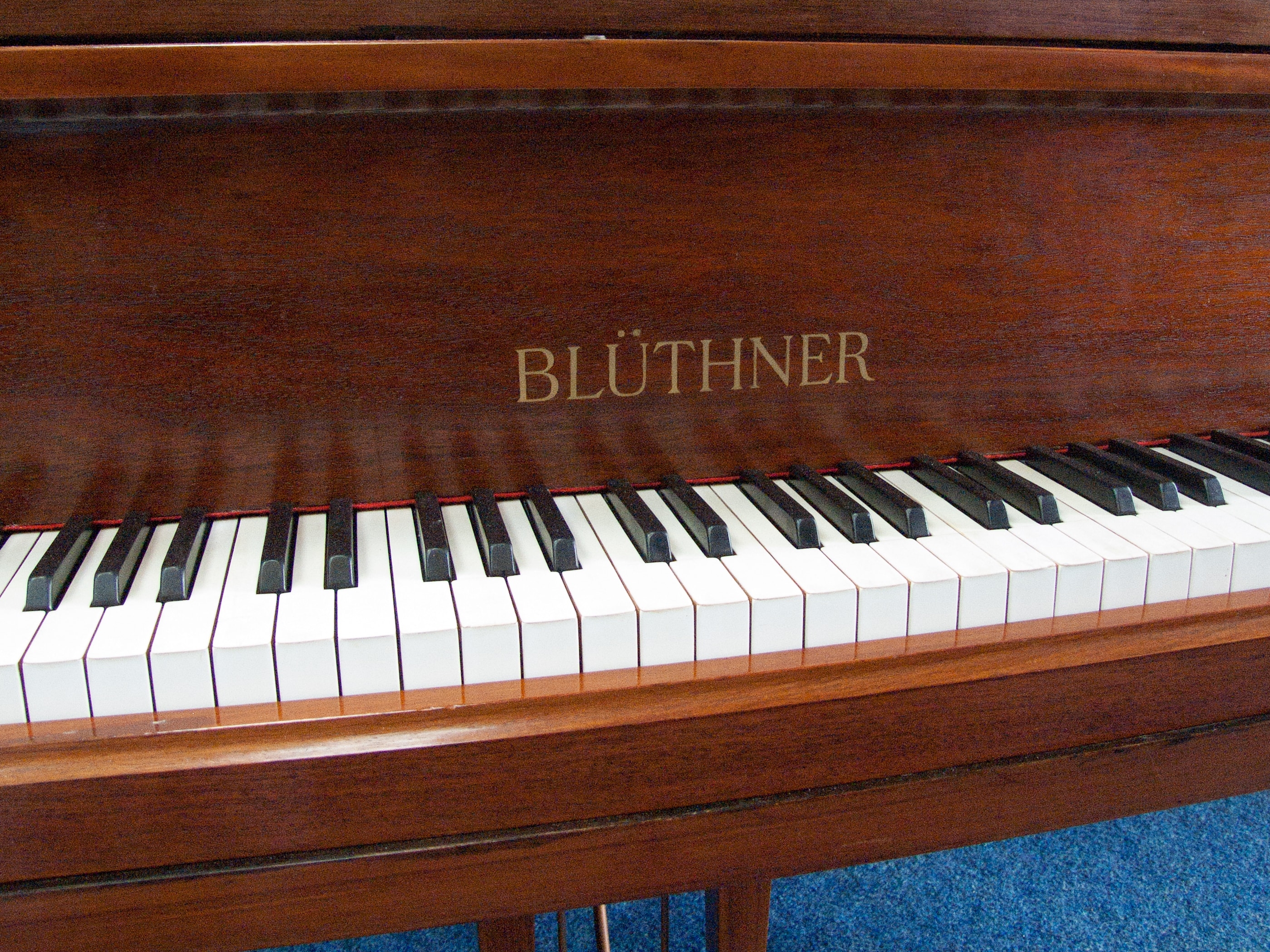 Bluthner V