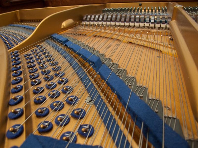Bluthner IVa Aliquot grand Piano in mahogany – Gallery image – Roberts Pianos Oxford