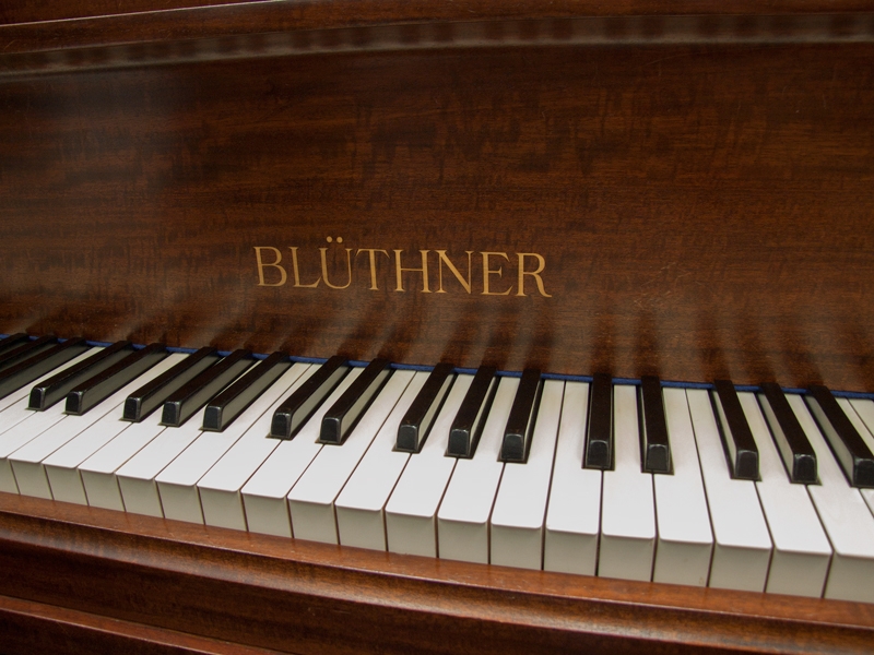 Bluthner IVa Aliquot