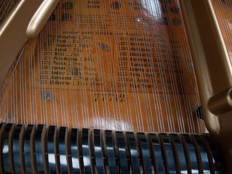 Bluthner style V grand Piano in Rosewood – Gallery image – Roberts Pianos Oxford