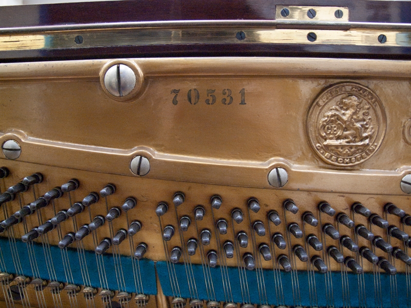 Bechstein 10
