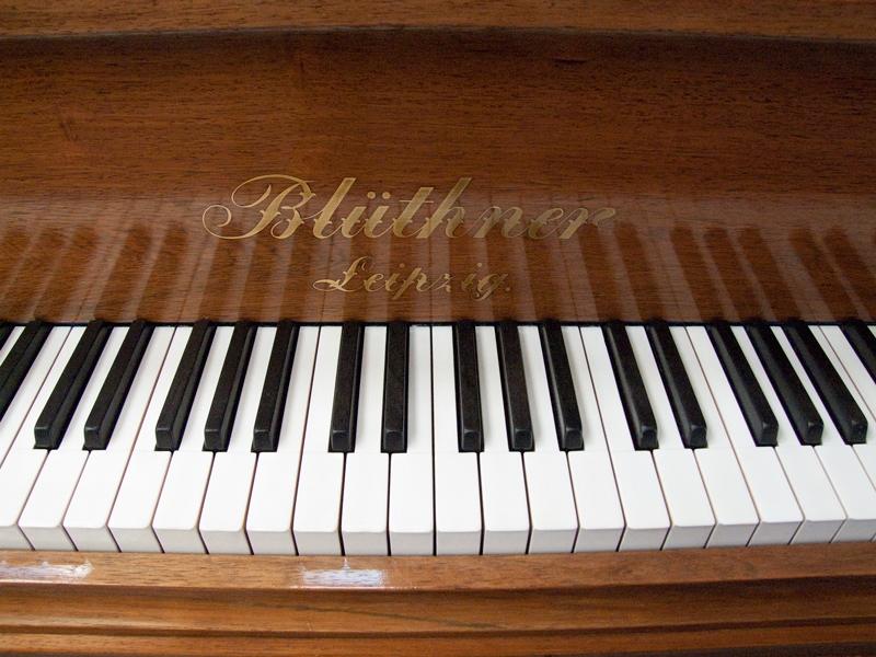 Bluthner style V grand Piano in rosewood – Gallery image – Roberts Pianos Oxford