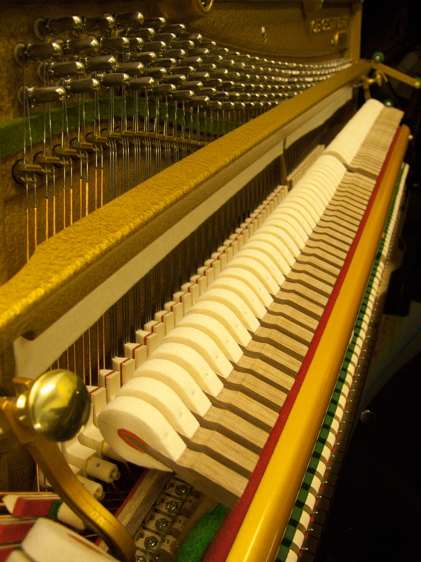 Bechstein Advance
