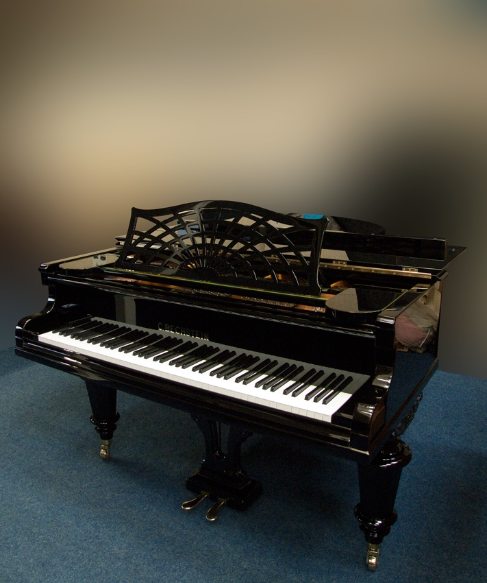 Bechstein V (5)
