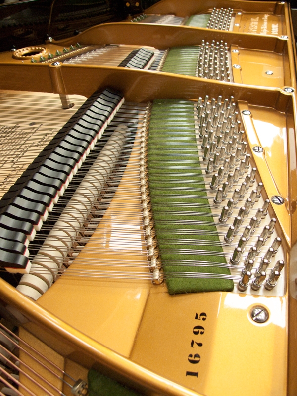 Bechstein V (5)