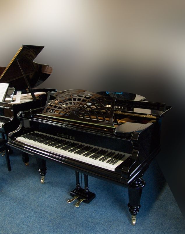 Bechstein V (5)