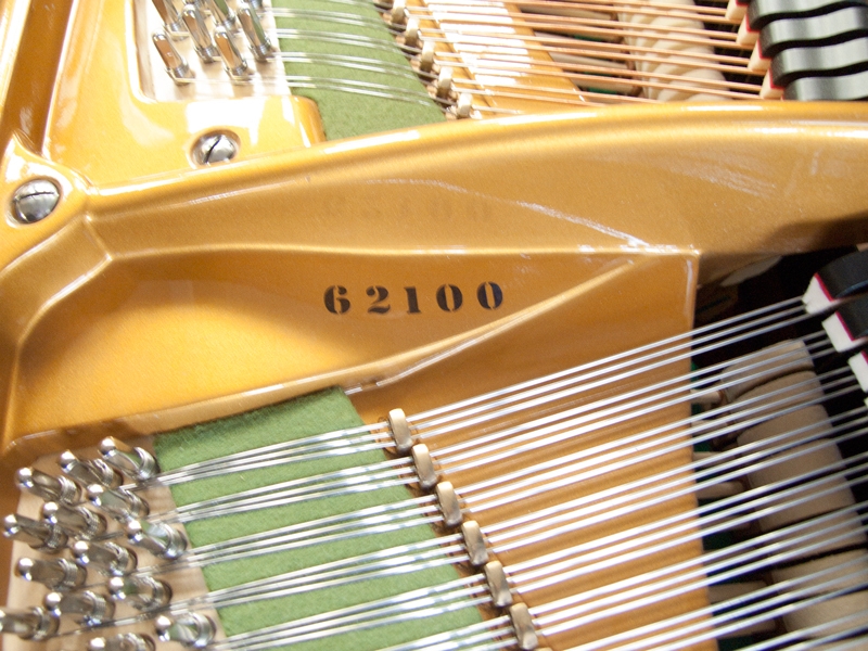 Bechstein V (5)