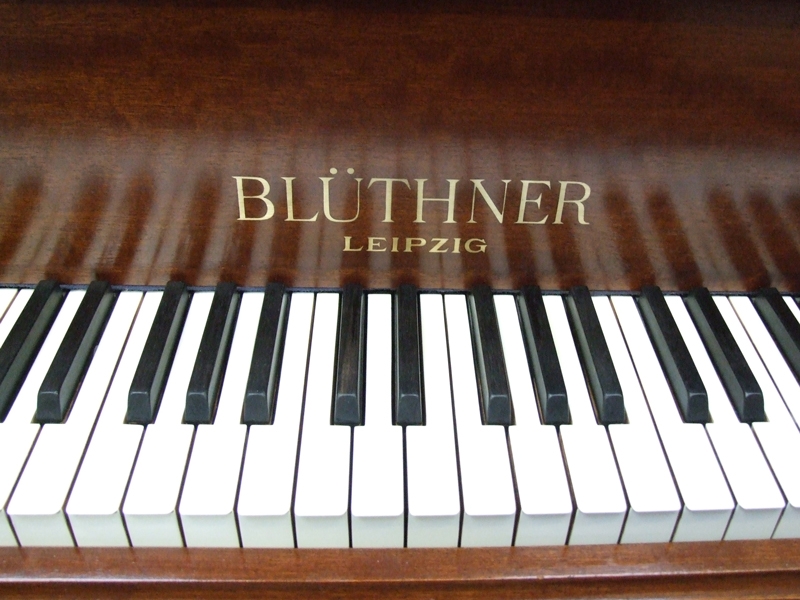 Bluthner Style IV