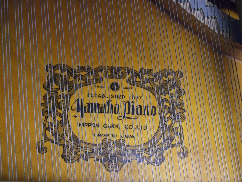 Yamaha G2E