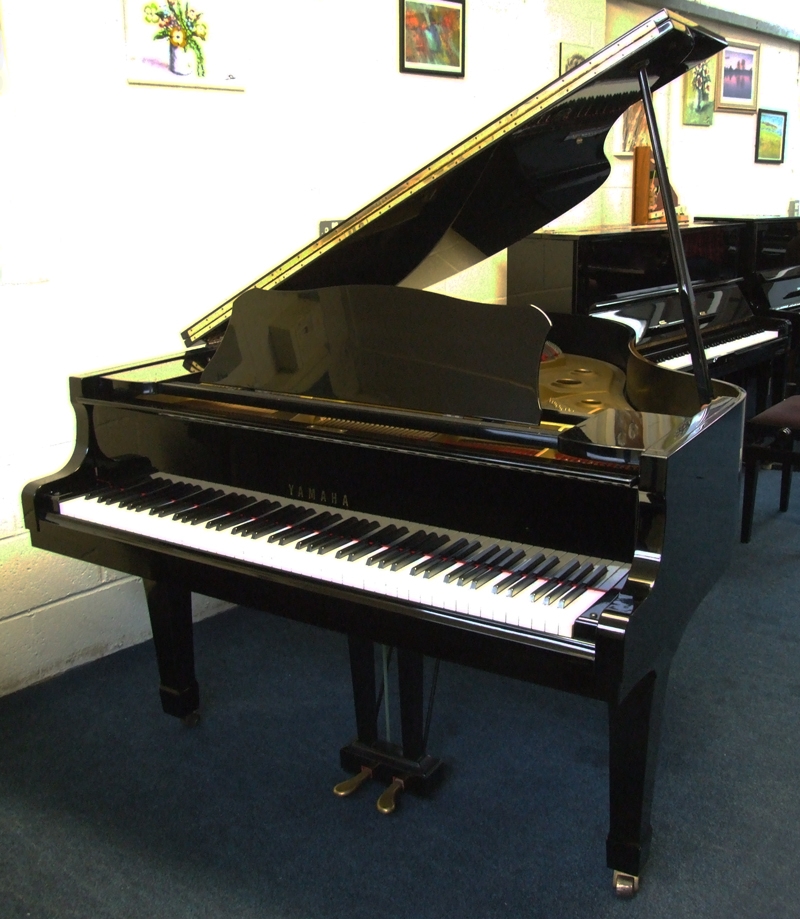 Yamaha G2E