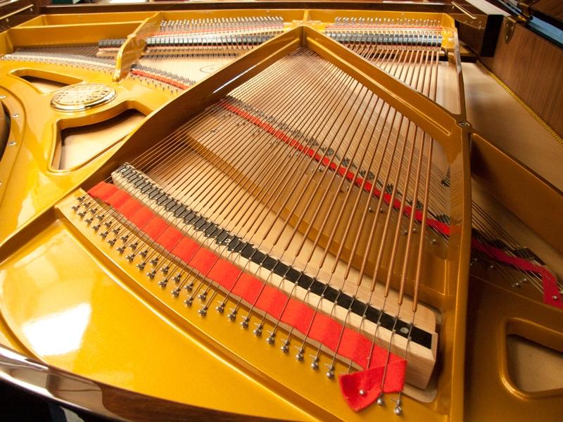 Petrof 172 grand Piano in walnut/ polyester – Gallery image – Roberts Pianos Oxford