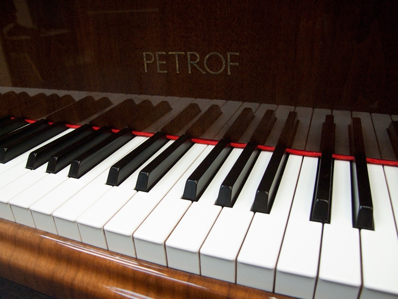 Petrof 172