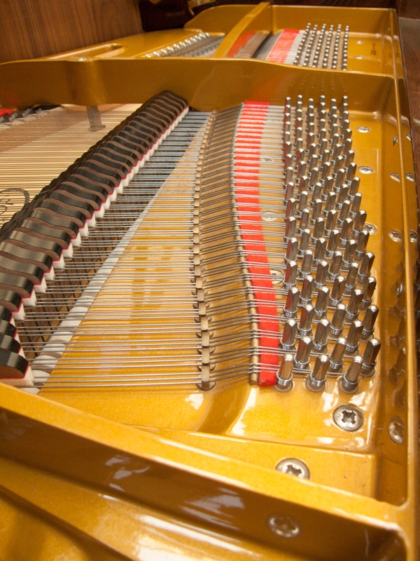 Petrof 172